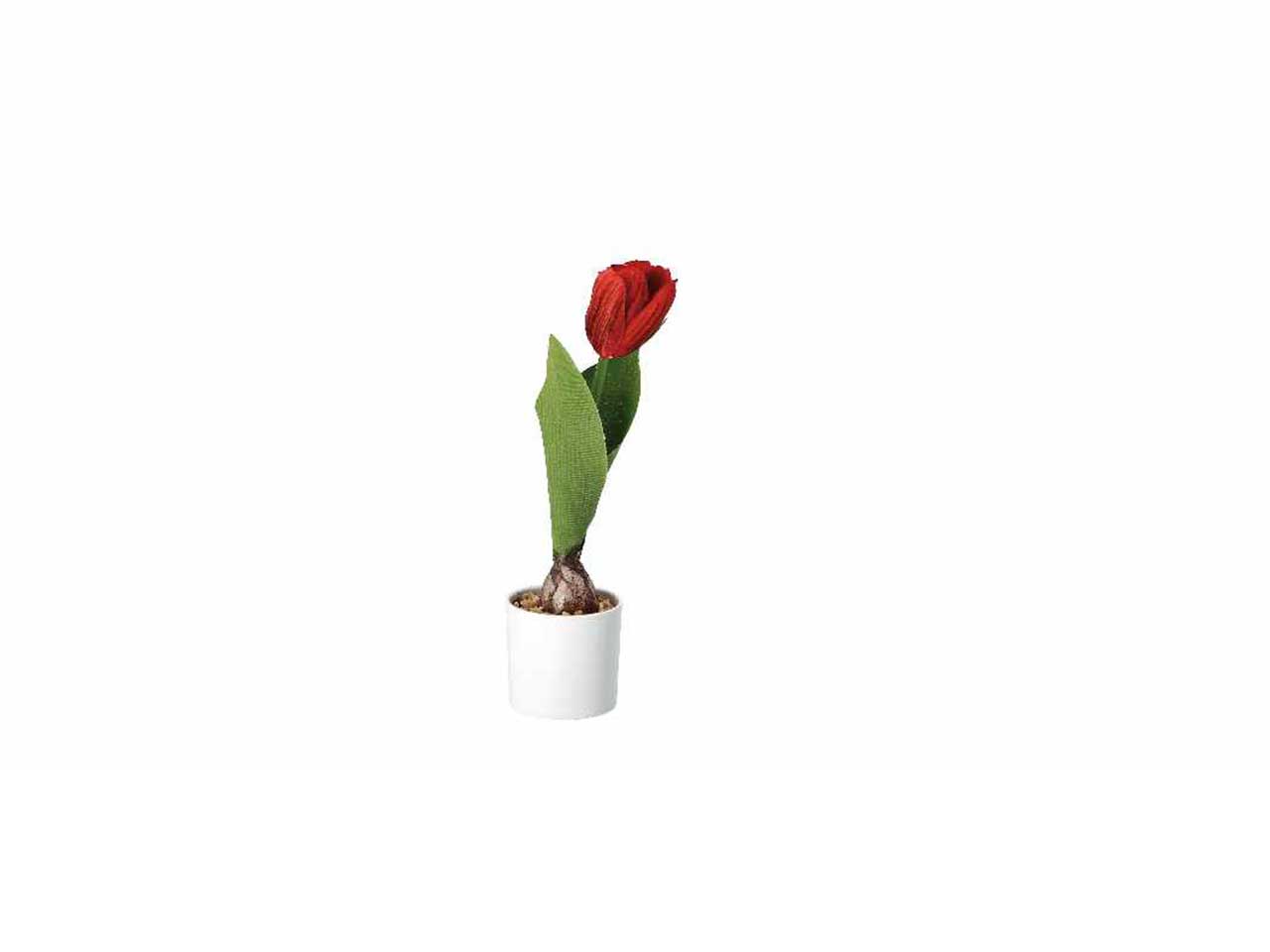 Vaso c/tulipani d7xh25cm 74874