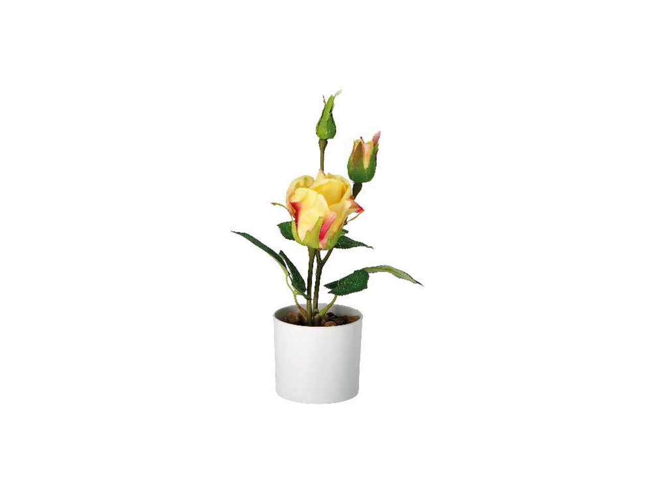 Vaso c/rose d.8,5xh28cm 74882