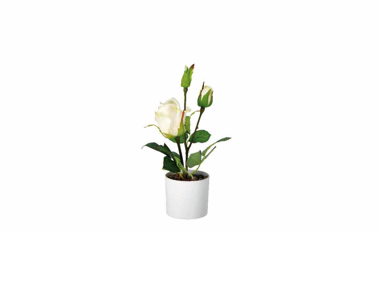 Vaso c/rose d.8,5xh28cm 74882