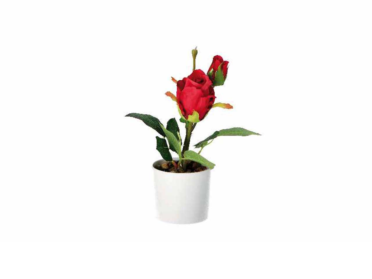 Vaso c/rose d.8,5xh28cm 74882