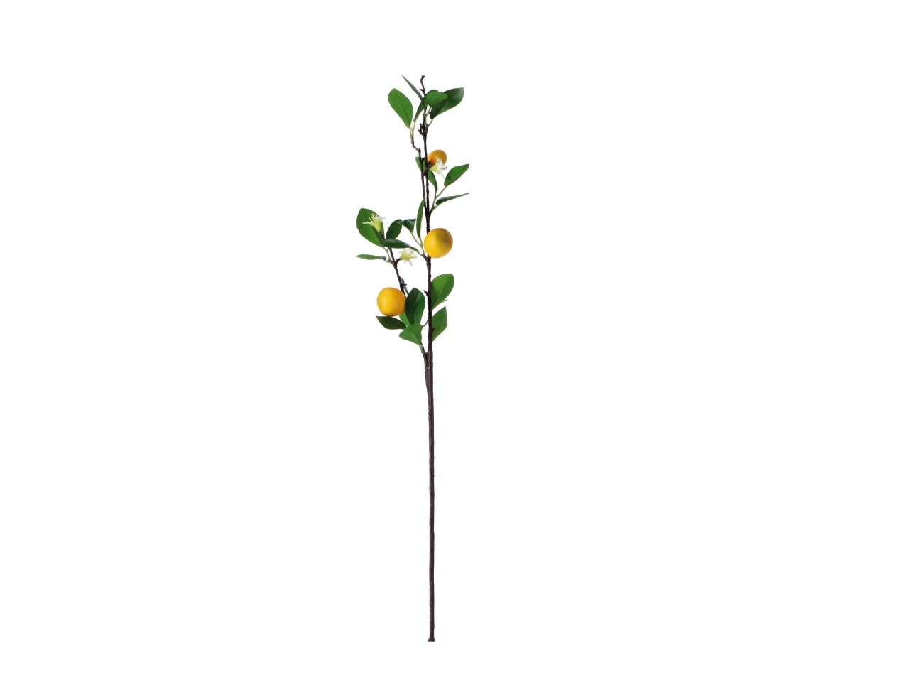 ramoscello con 3 agrumi artificiali, realistico - 3 modelli assortiti - 69 cm - Star