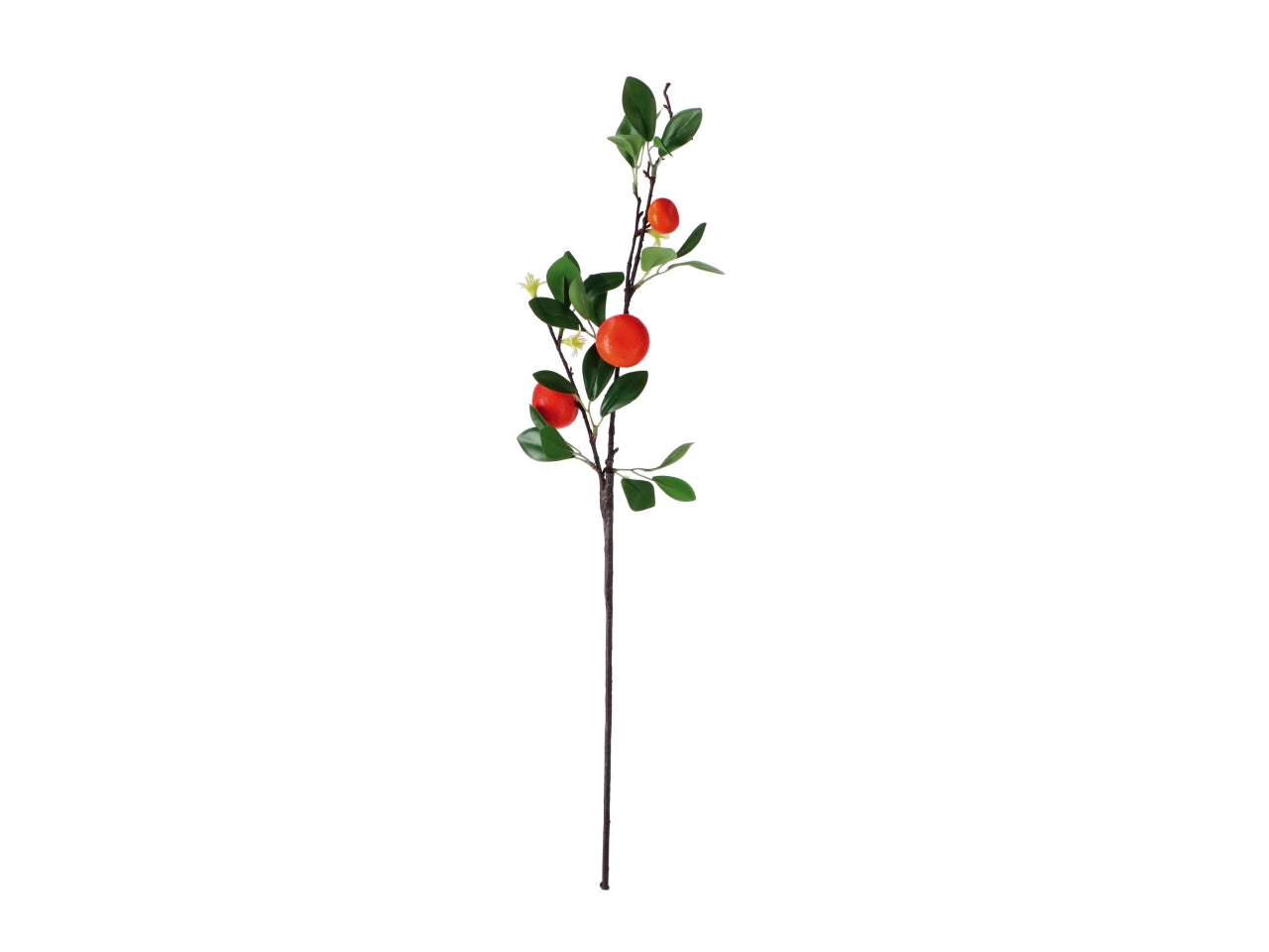 ramoscello con 3 agrumi artificiali, realistico - 3 modelli assortiti - 69 cm - Star