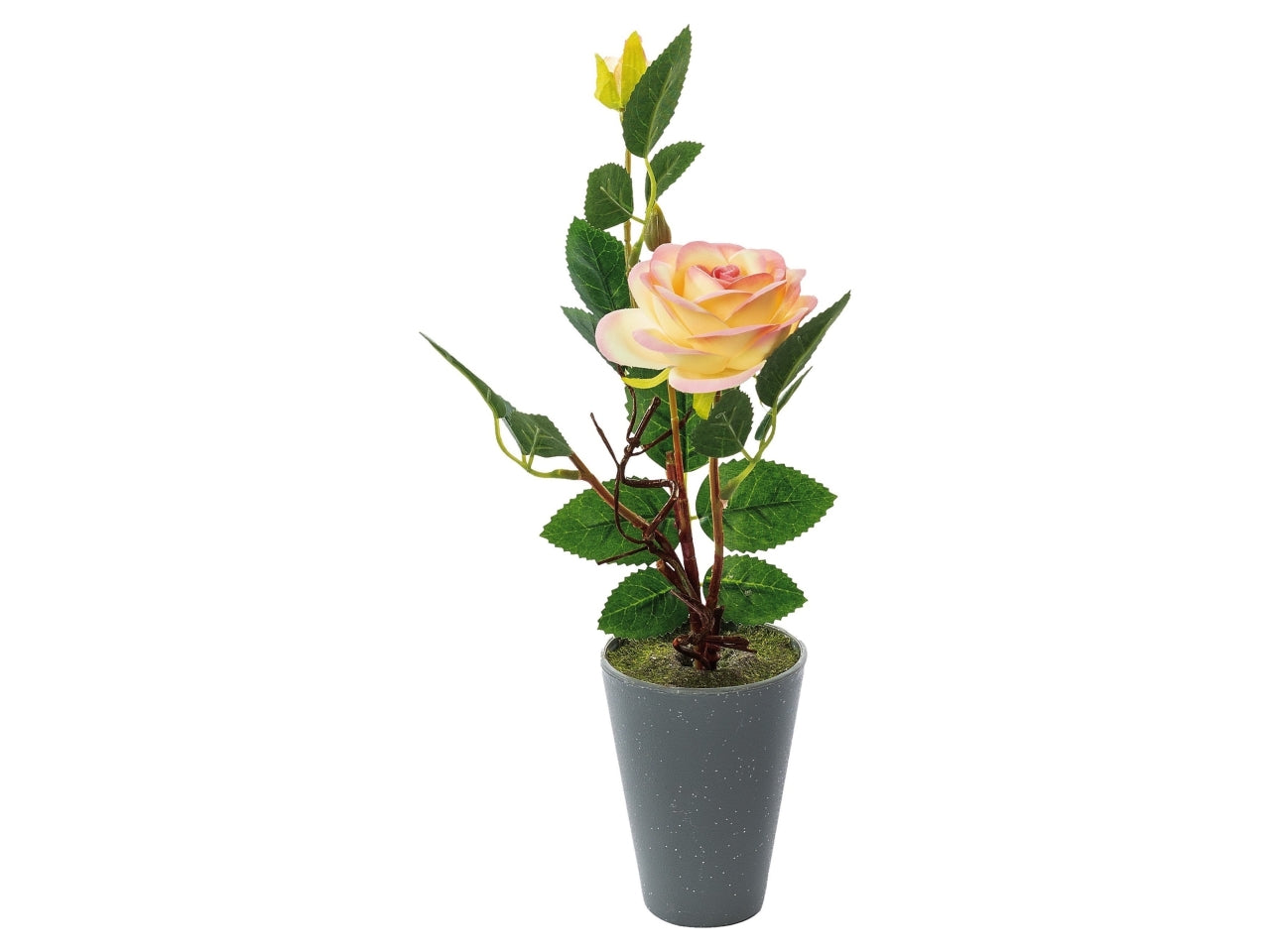 Vaso con rosa 2 boccioli d.8xh.34cm in 4 colori assortiti$