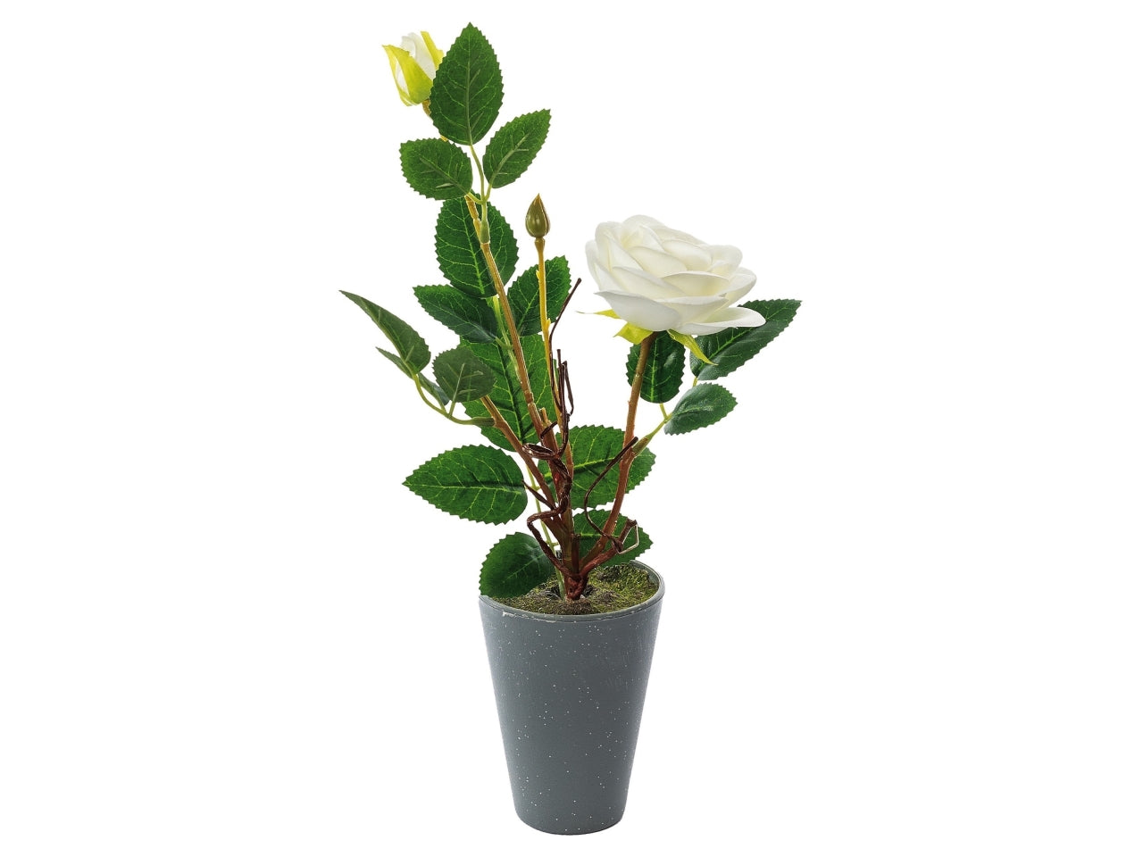 Vaso con rosa 2 boccioli d.8xh.34cm in 4 colori assortiti$