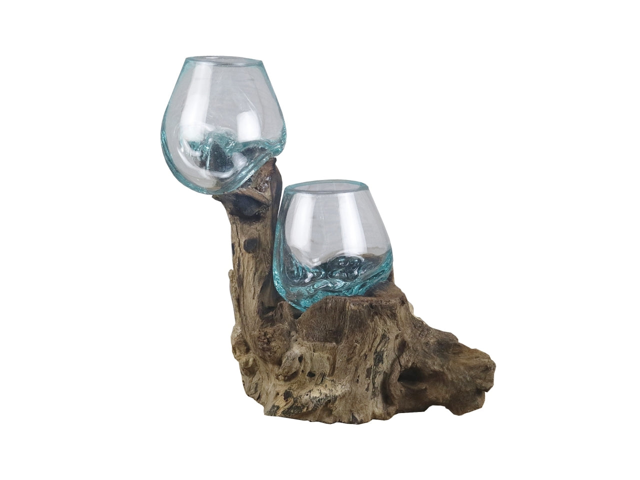 Radice naturale in legno + 2 vasi 25x10xh.30cm