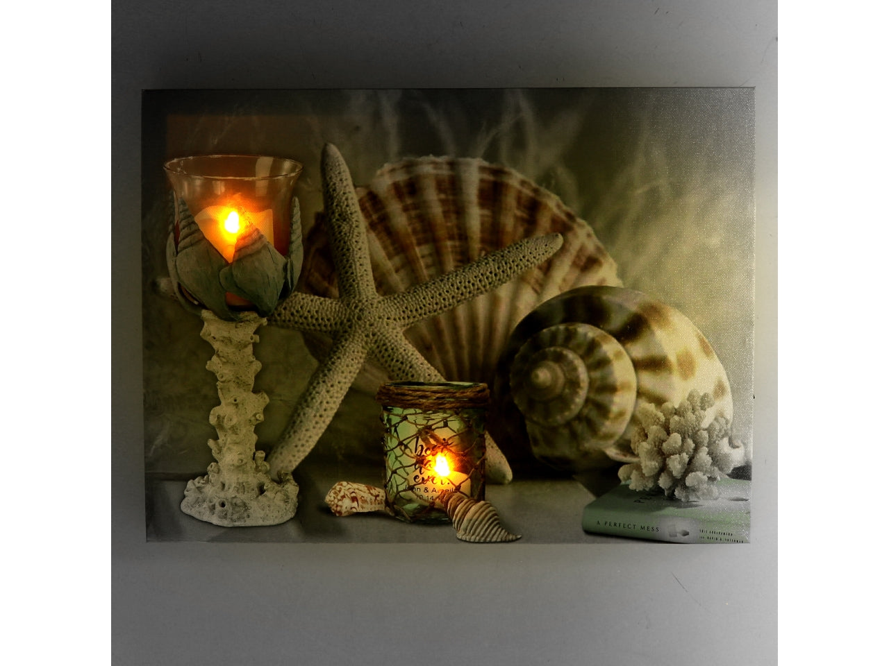 Quadro mare led conchiglie 40x2,3x30cm