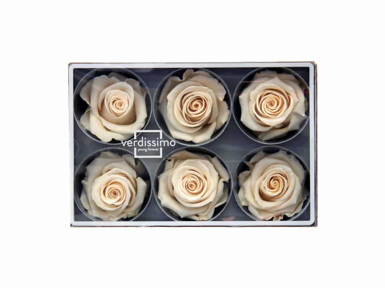 Rosa stabilizzata colore champagne misura d.5,5cm - La confezione comprende 6 rose