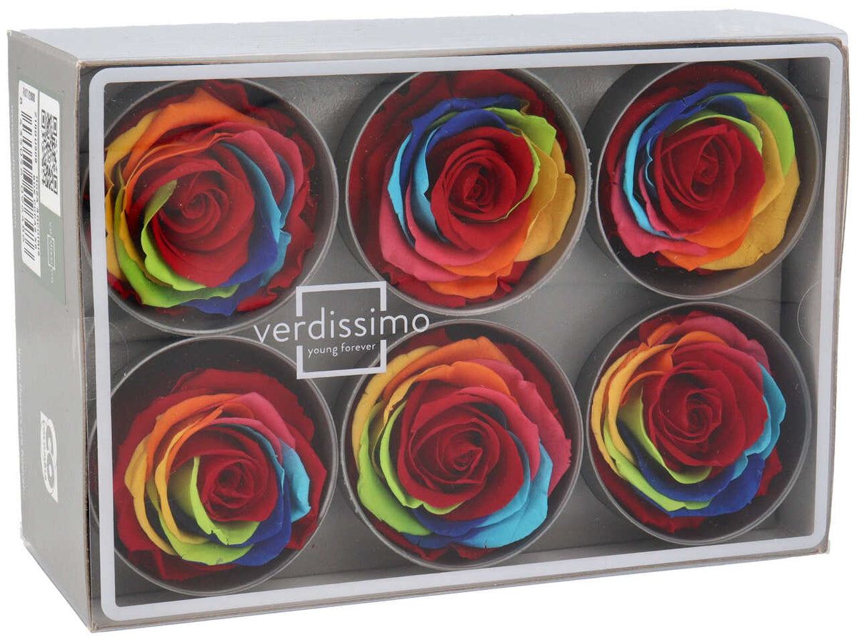 Rosa stabilizzata colore arcobaleno misura d.5,5cm - La confezione comprende 6 rose