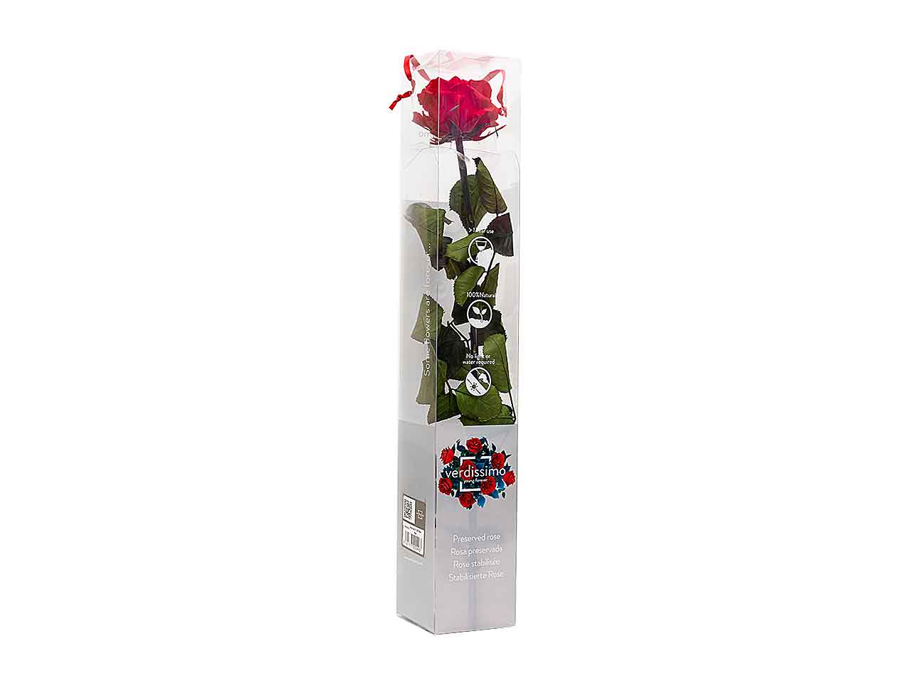 Rosa stabilizzata colore rosso misura 50cm
