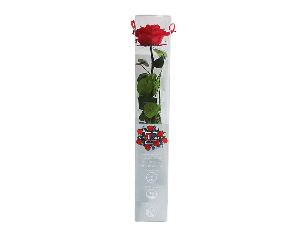 Rosa stabilizzata colore rosso misura 50cm