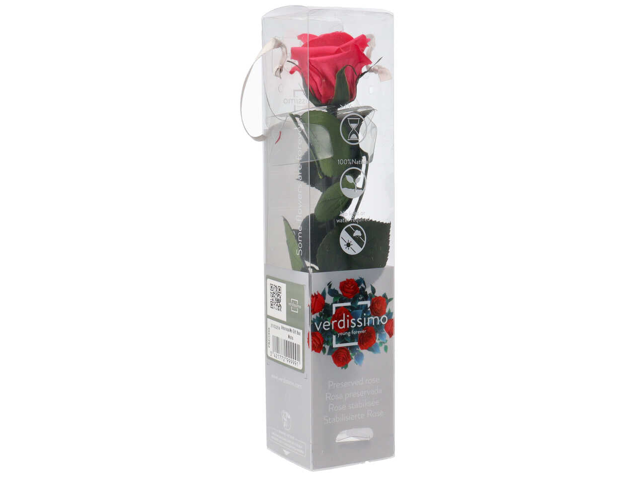 Rosa stabilizzata ass.mini c/gambo prz/2999