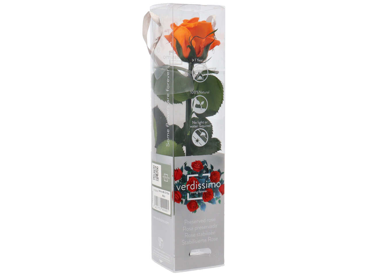 Rosa stabilizzata ass.mini c/gambo prz/2999