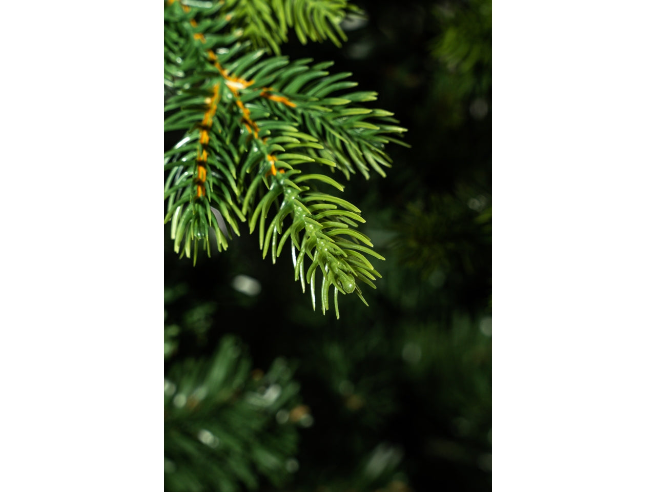 Albero selva con tronco210cm diametro 125cm 1038 rami, montaggio ad ombrello