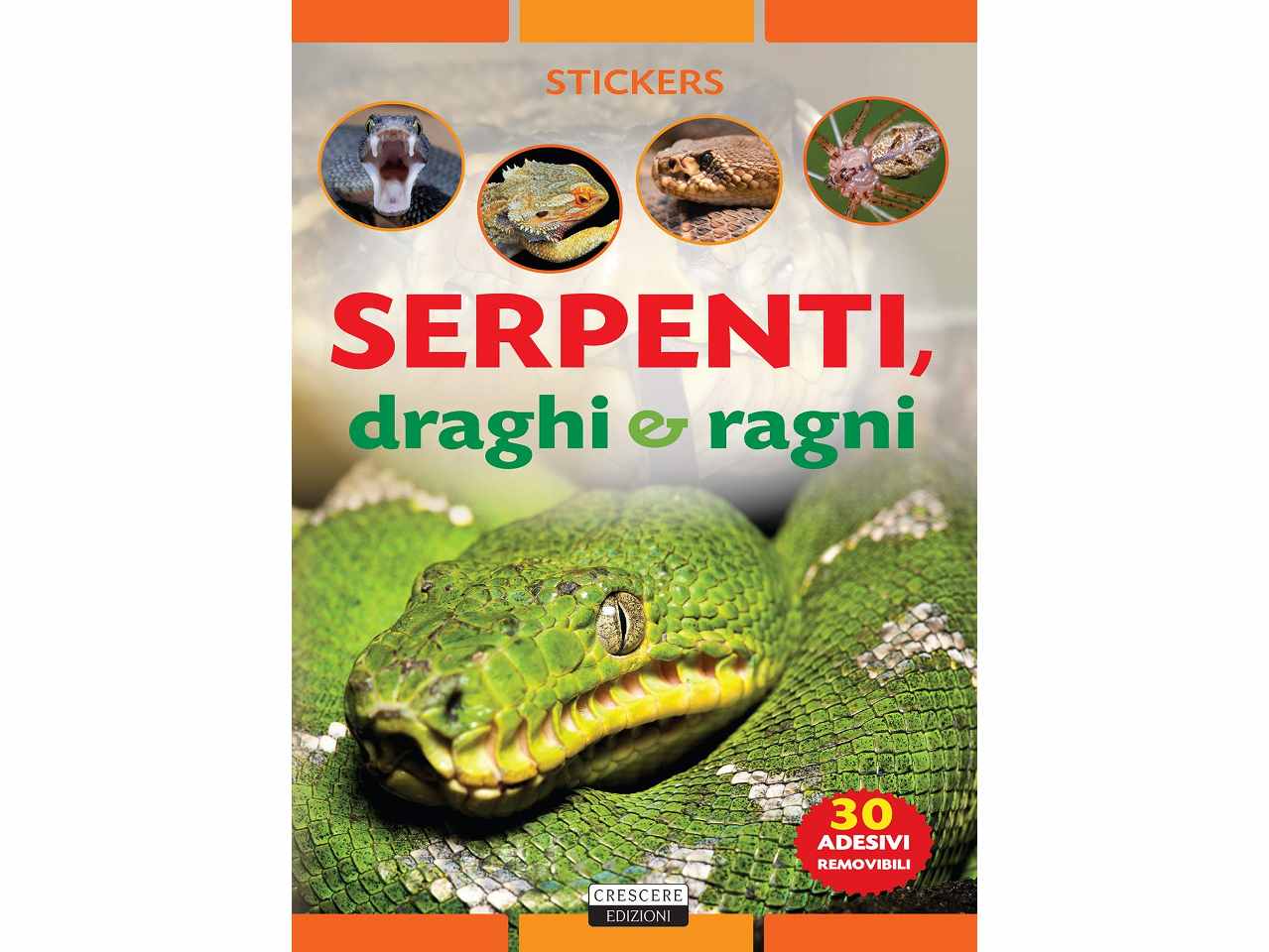 Libro con stickers