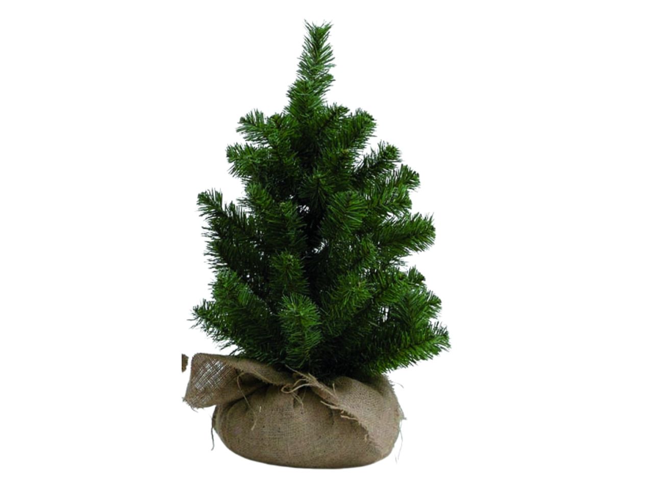 Albero 60cm verde con base juta