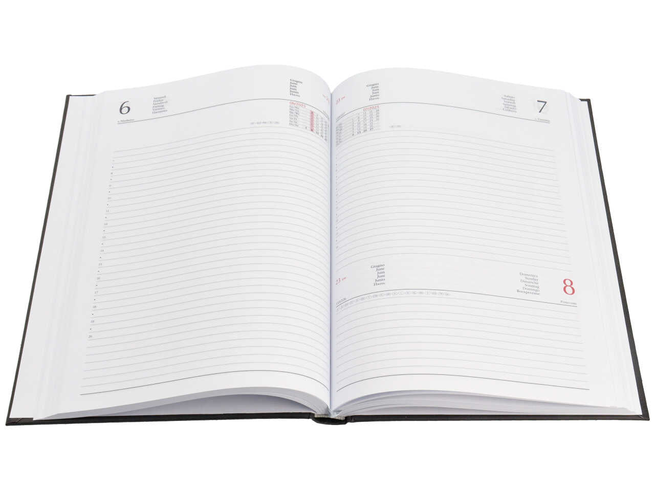 Agenda giornaliera 2025 nero con copertina imbottita, festivitÃ  e fine settimana segnalati, 17x24 cm - Gruppo Buffetti