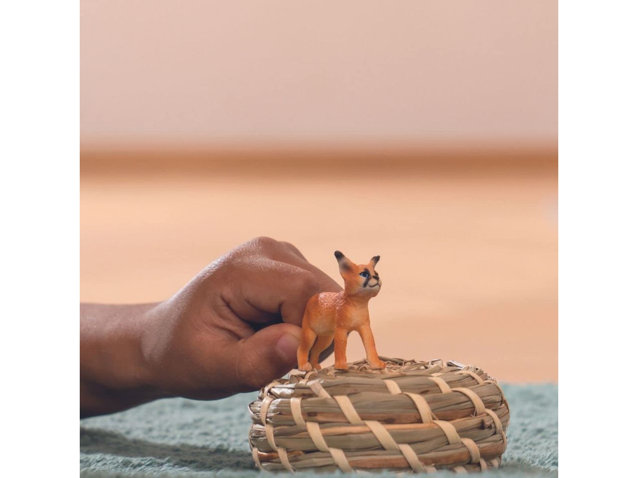 Cucciolo di caracal