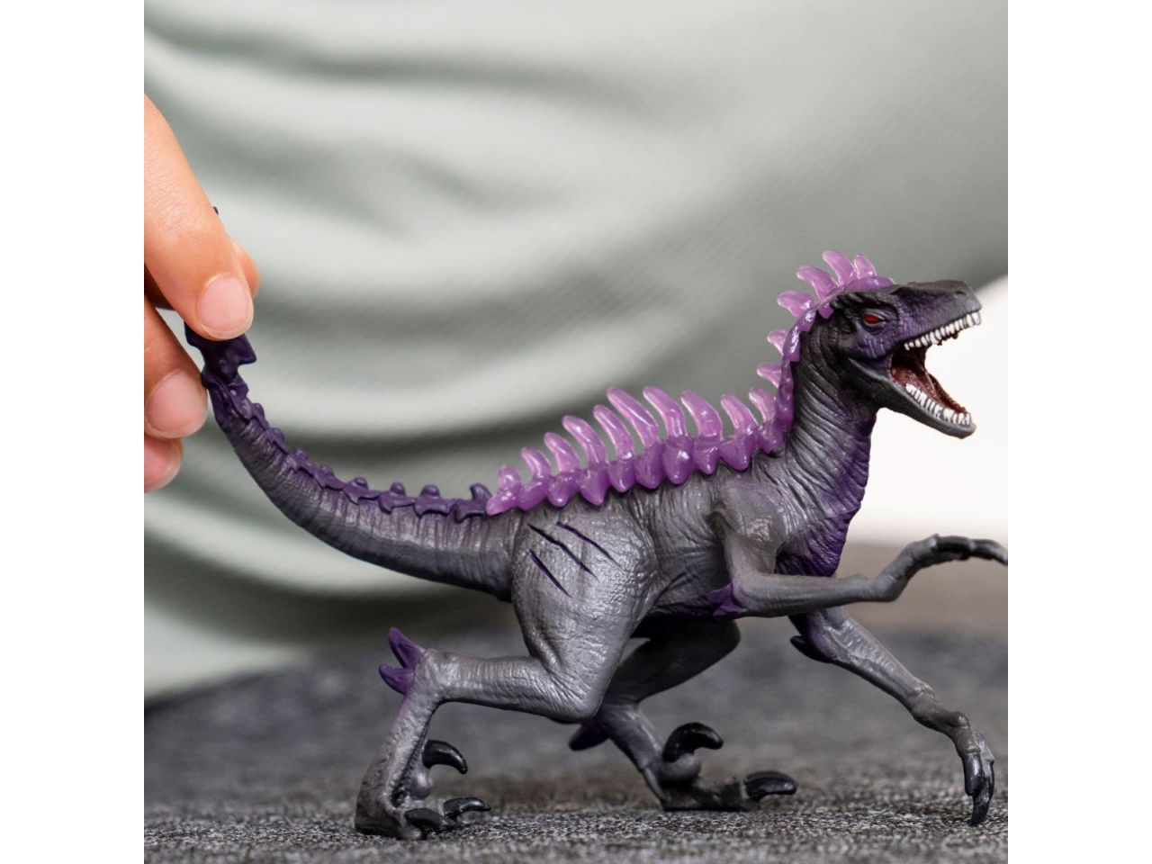 Raptor ombra
