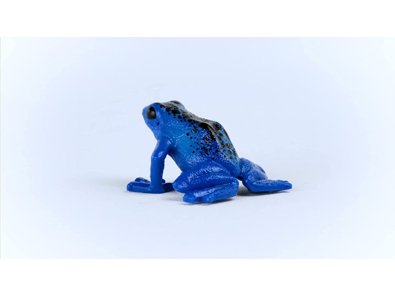 Rana freccia blu