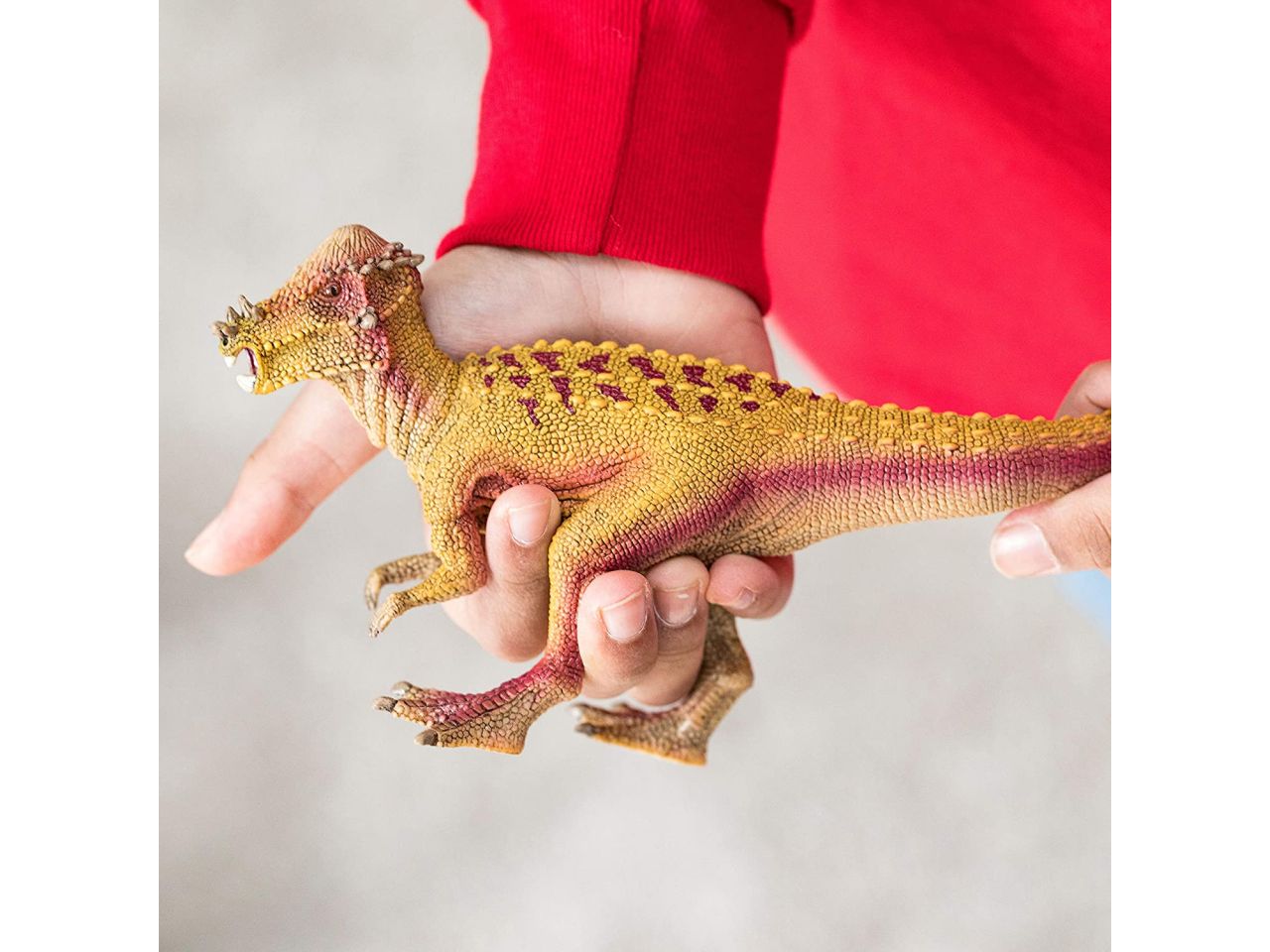 Pachycephalosaurus