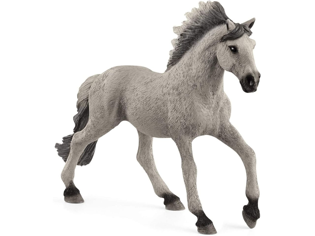 Stallone sorraia mustang