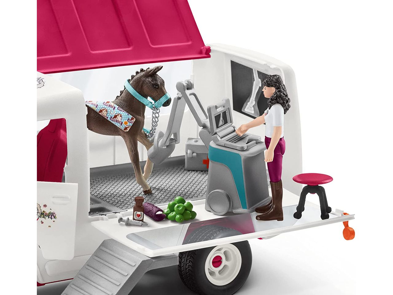 Clinica mobile vetrinaria con puledro e accessori