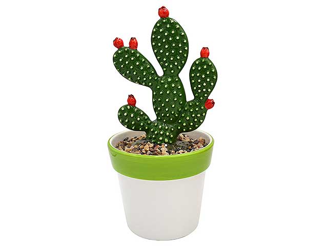 Pianta fico d'india h27cm cta-04