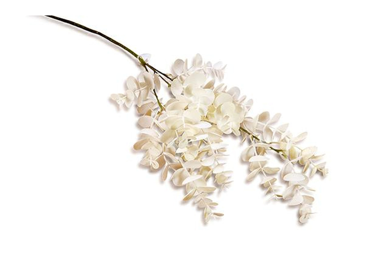 Ramo eucalipto h.68cm panna