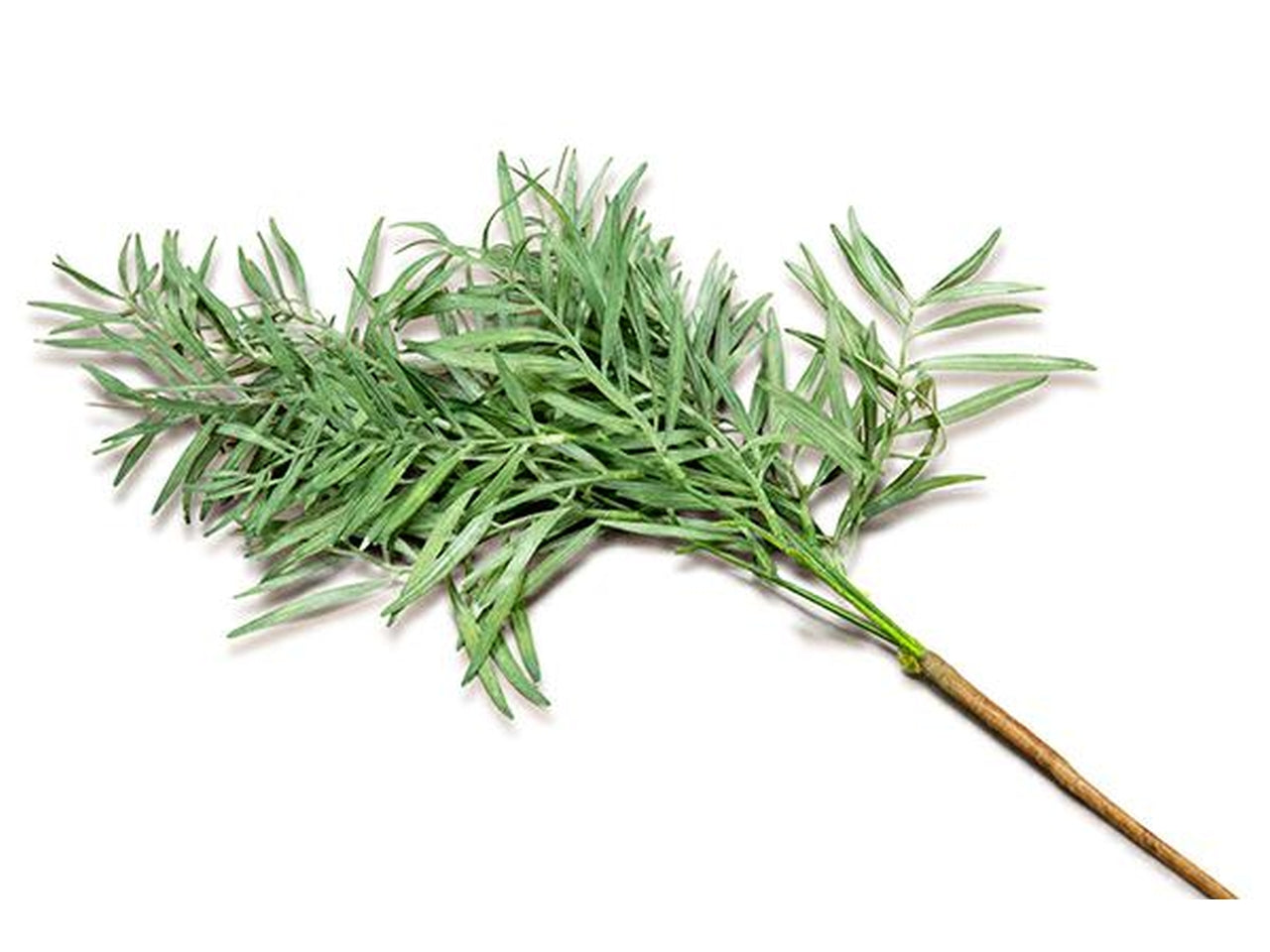 Ramo con foglie h.80cm verde salvia