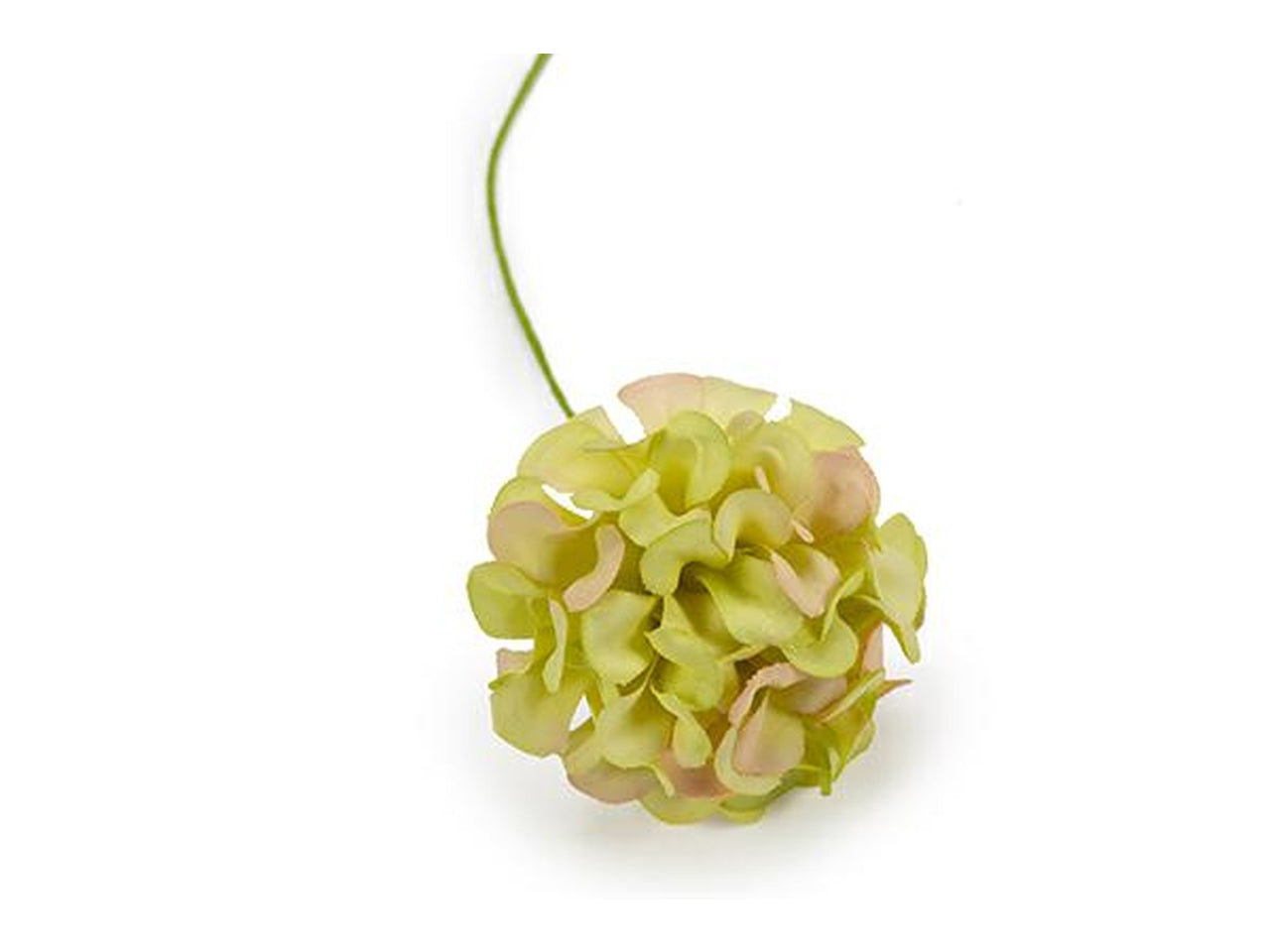 Ortensia ramo 4cm di colore  verde 36 pezzi