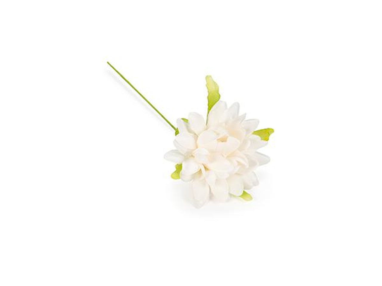 Ninfea 4cm di colore panna 36 pezzi