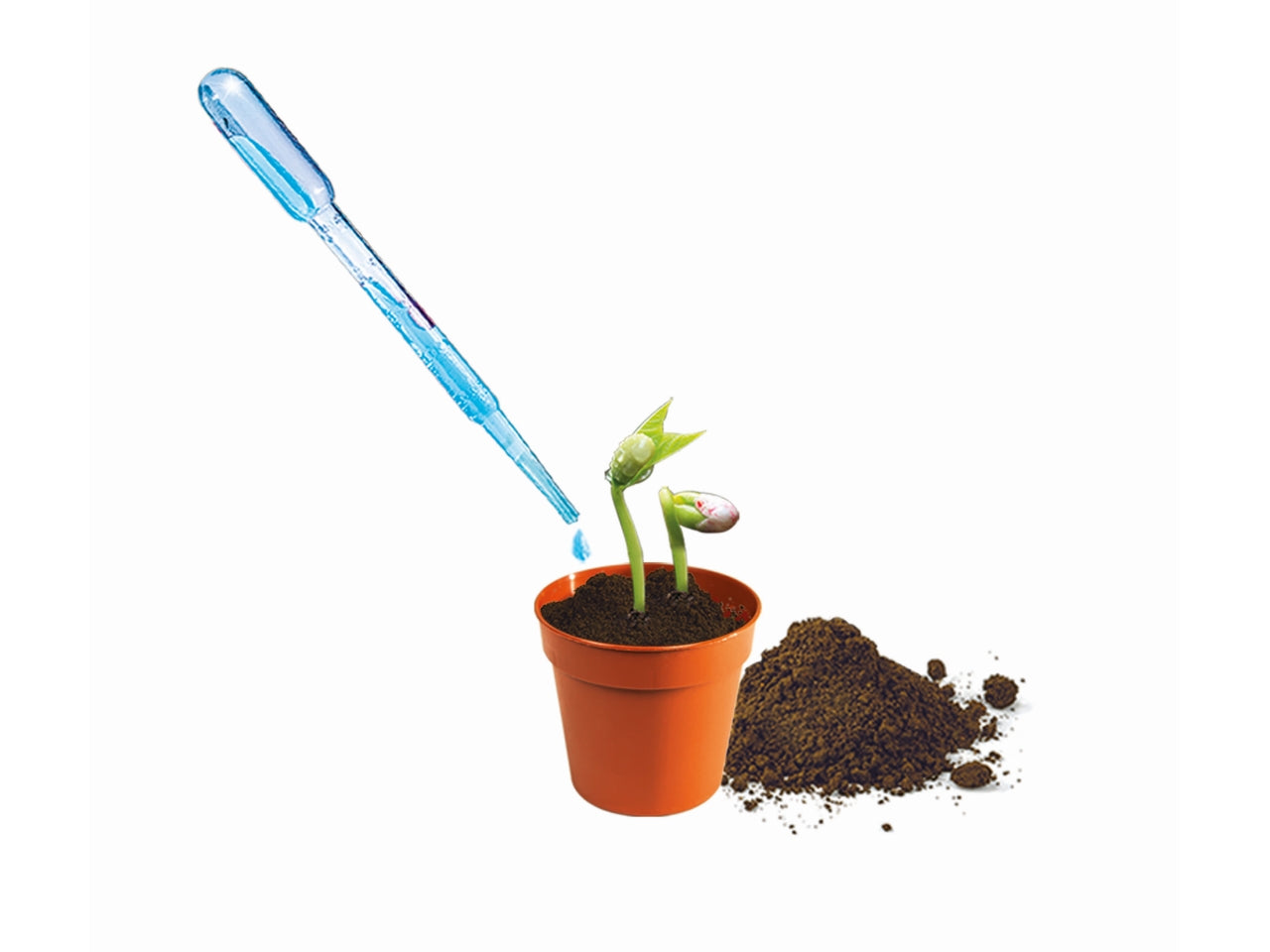 Mini orto