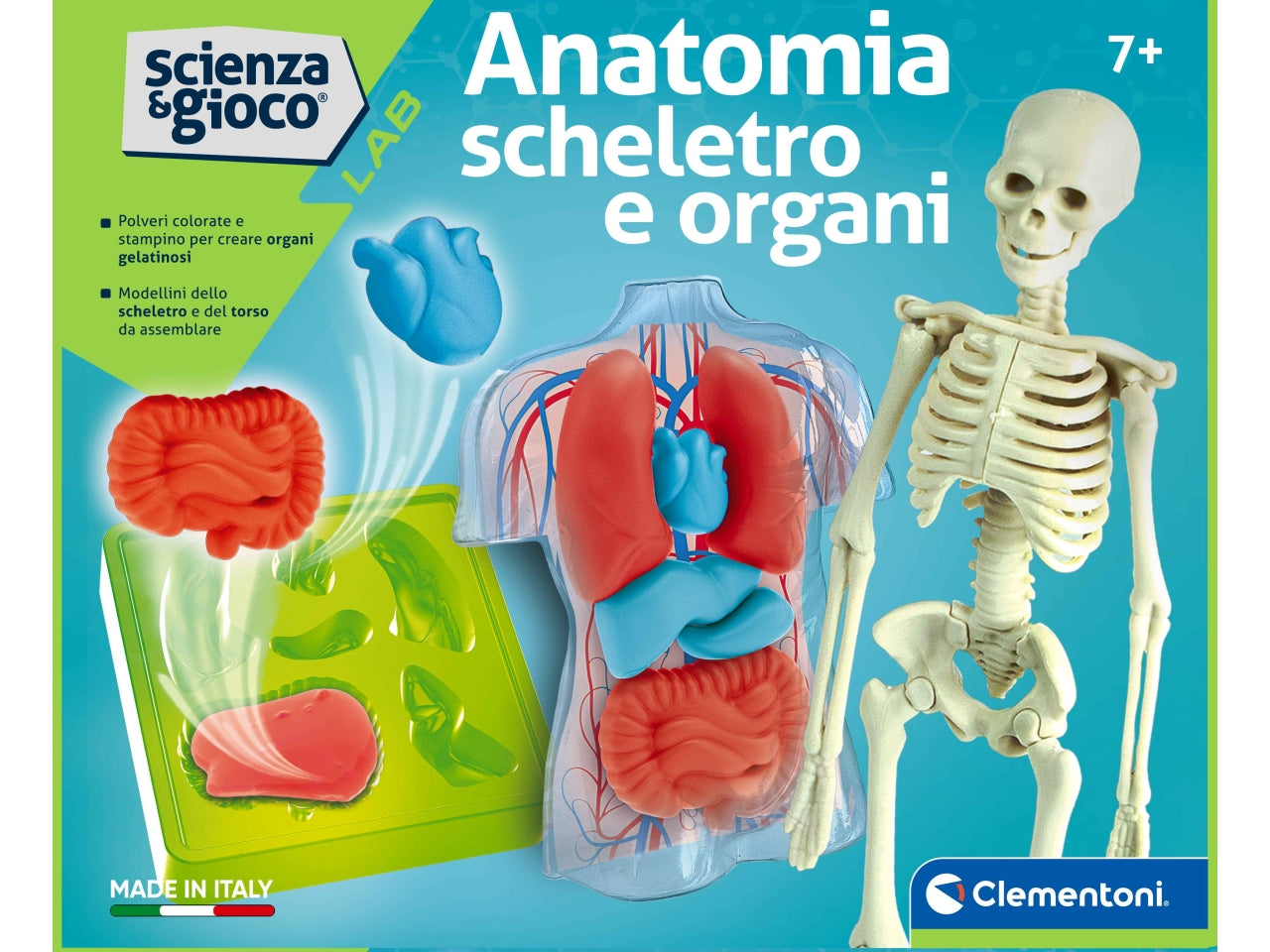 Clementoni Anatomia Scheletro E Organi