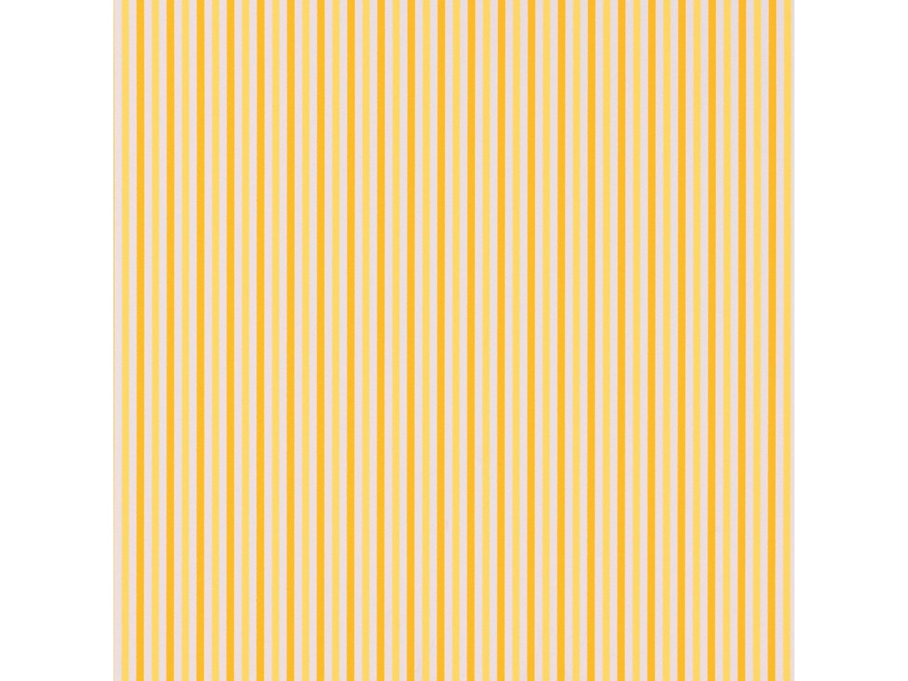 Buste stripes 40my 35x50 confezione 50 buste