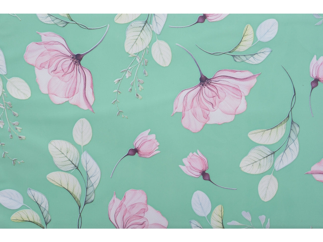Buste anemone 40my 35x50 confezione 50 buste