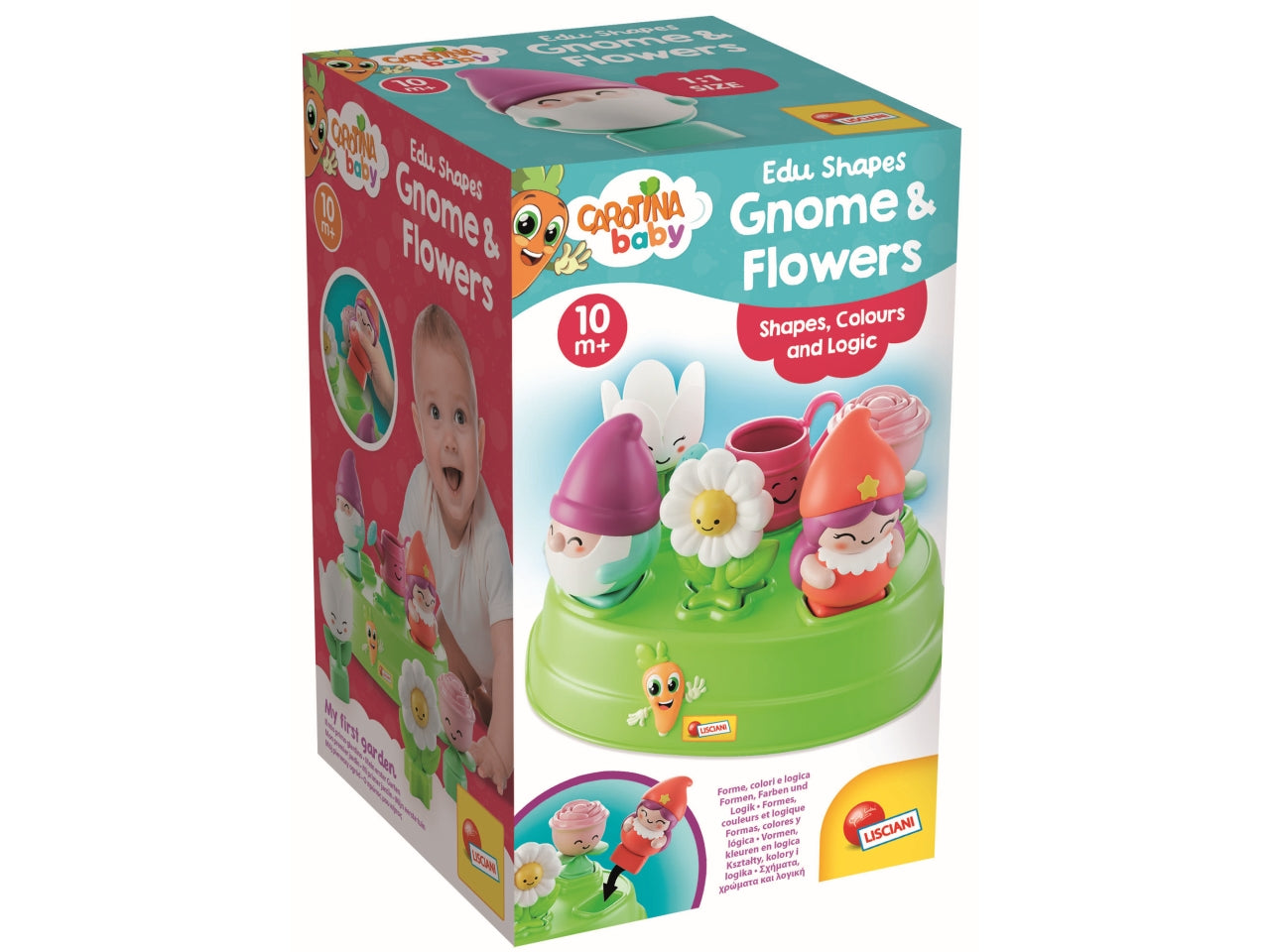 Carotina edu shapes gnome and flowers