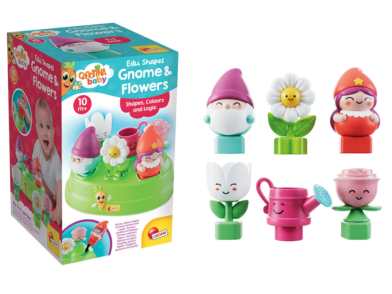 Carotina edu shapes gnome and flowers