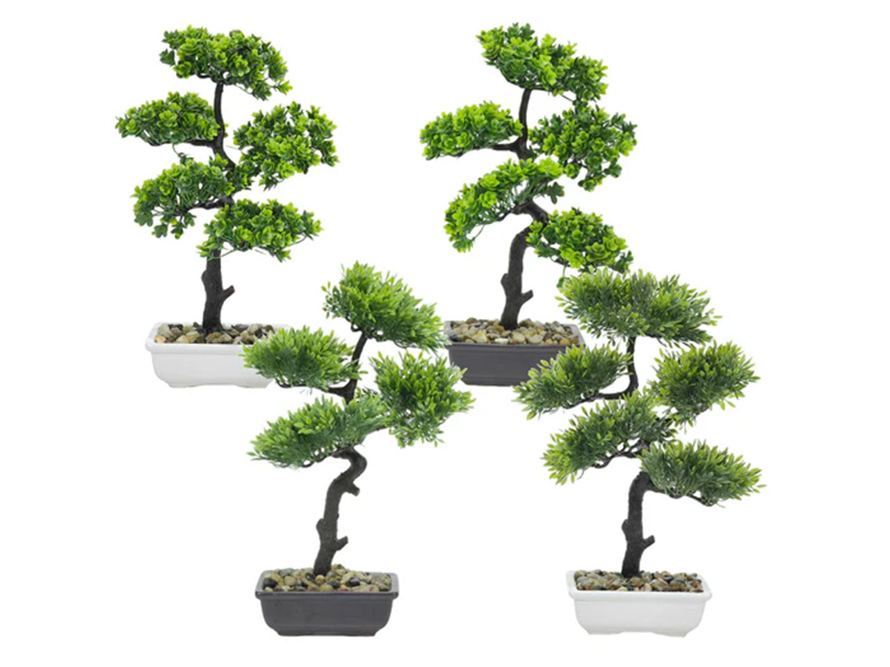 Pianta bonsai con vaso 15x11xh40cm assortiti