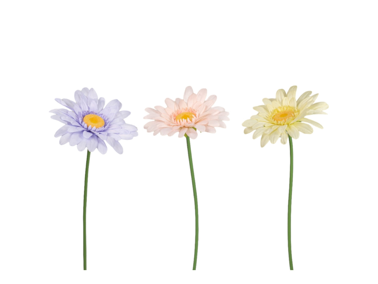 Maxi stelogerbera d.50xh125cm poliestere in colori assortiti