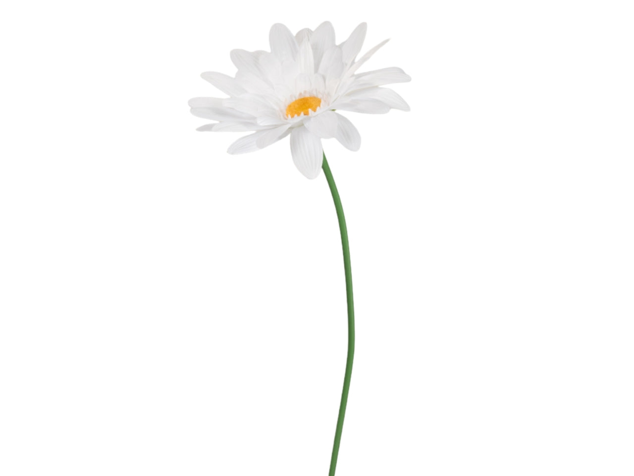 Stelo gerbera d65xh150cm poliestere di colore bianco