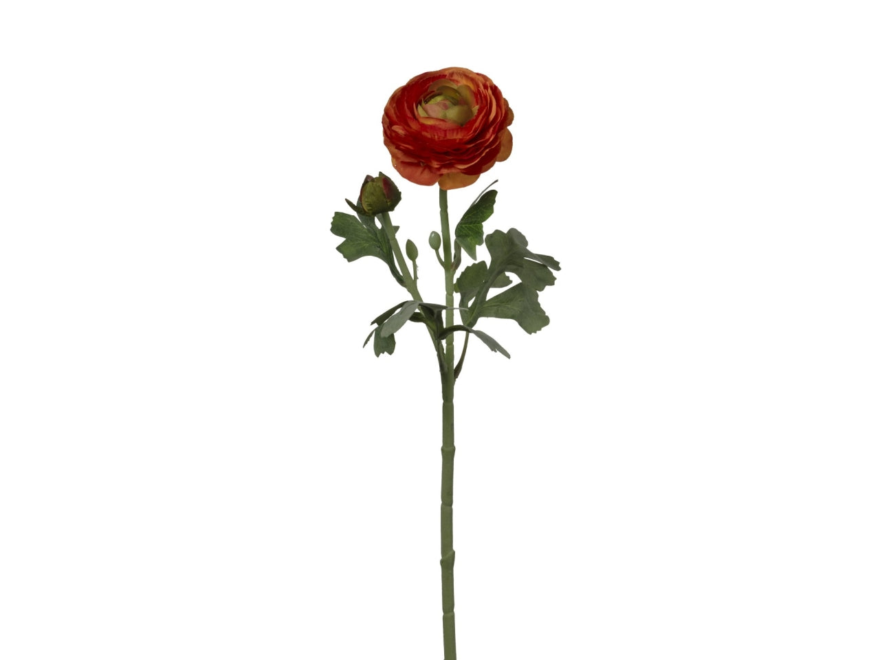 Ramo ranuncolo con 2 fiori cm18x18x49 di colore arancio