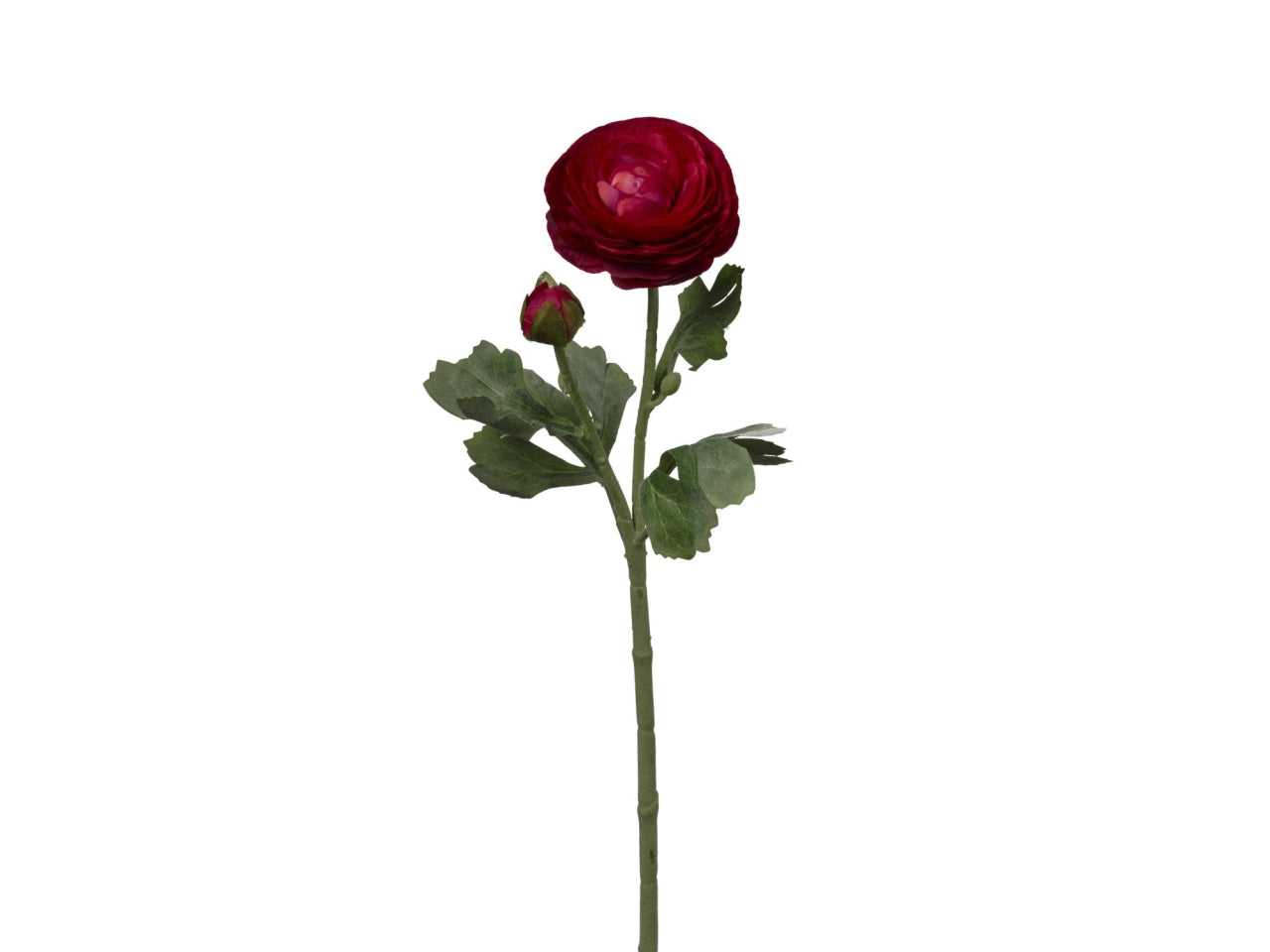 Ramo ranuncolo con 2 fiori 18x18x49cm di colore rosso
