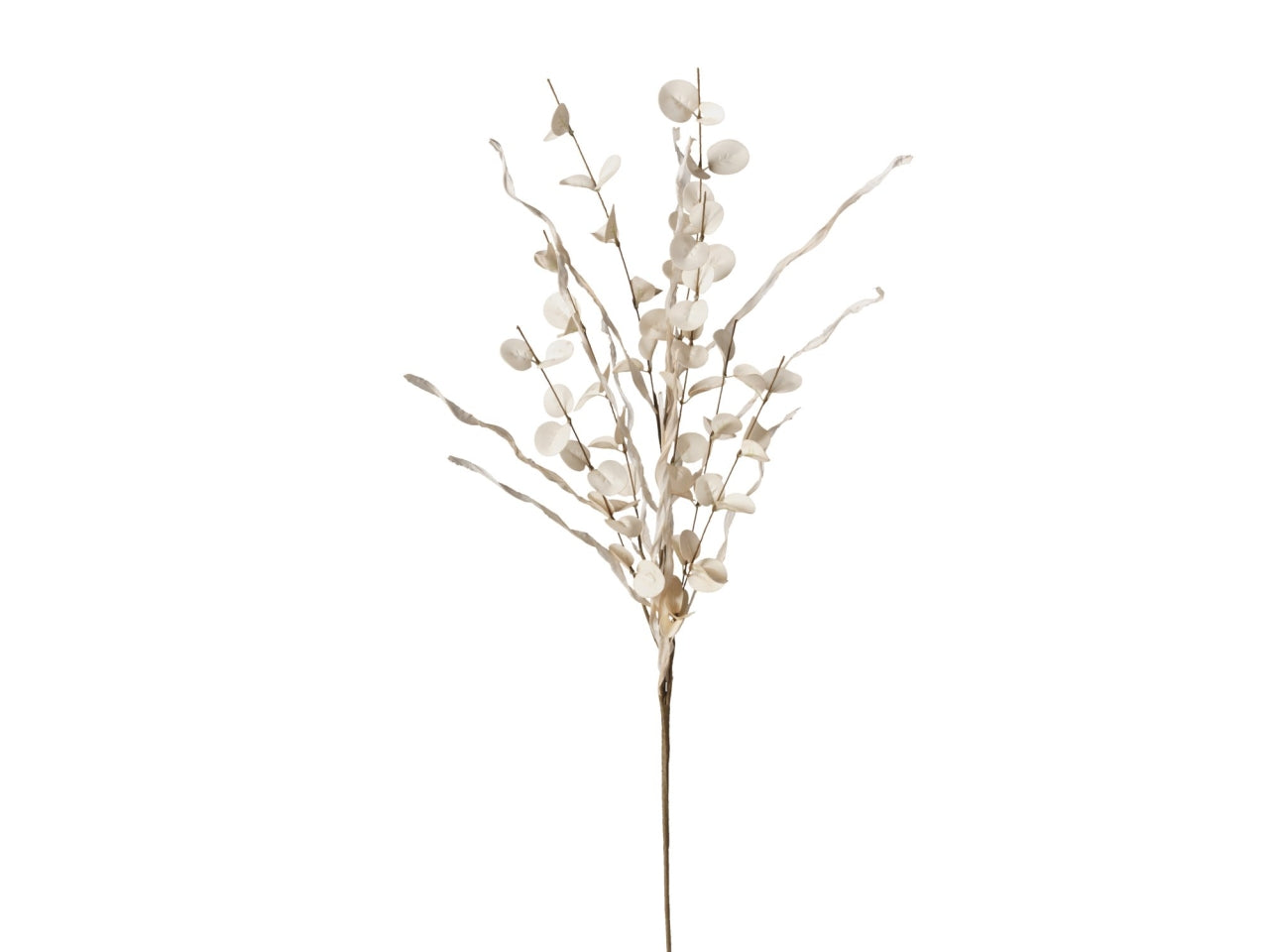 Ramo eucalipto 98cm  di colore beige