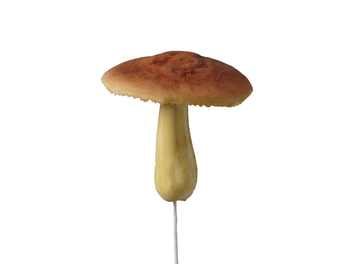 Pick fungo 6 cm