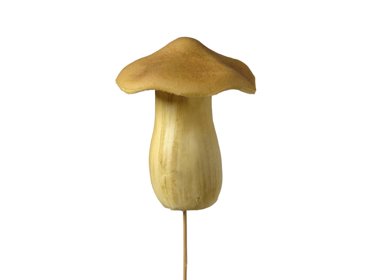 Pick fungo 11 cm
