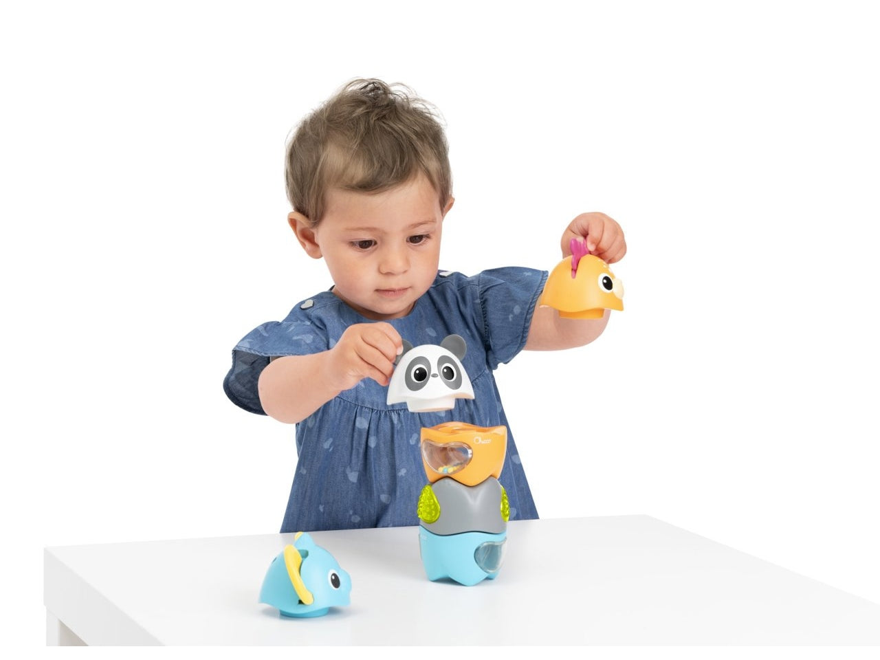 Gioco  baby sense focus activity animals