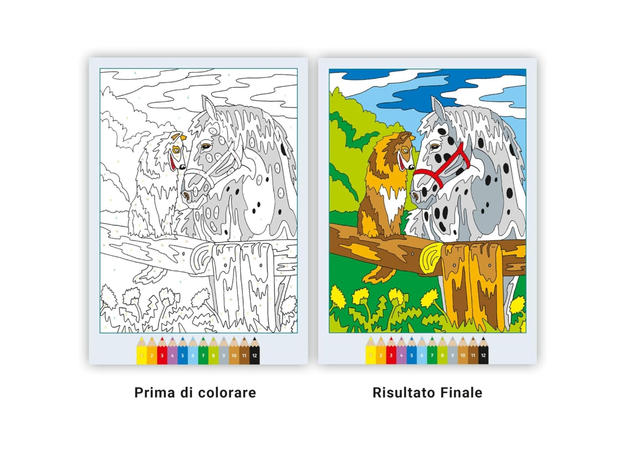 Creart album da colorare 7+ - cavalli