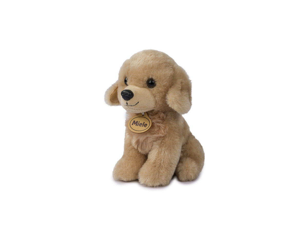 Morbidelli labrador di colore beige marla 20cm