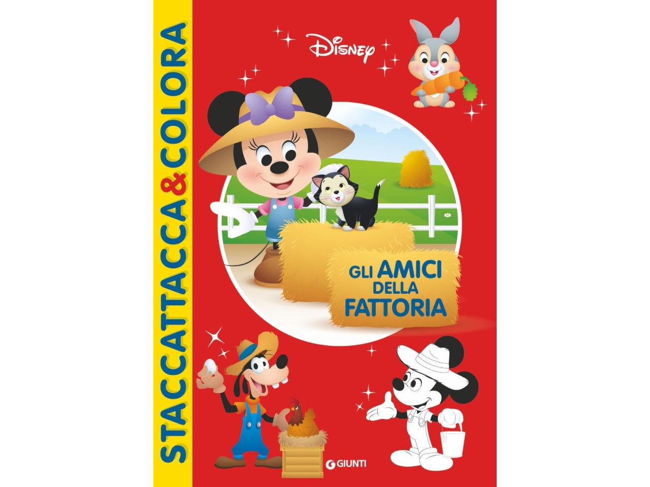 Libro fattoria staccattacca&colora