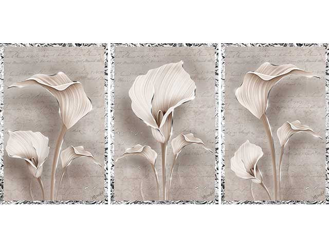 Quadro mondie' calle 31x46cm